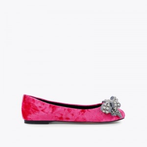 Ballerine Donna Kurt Geiger London Bow Basse Rosa Italia | EE68-749