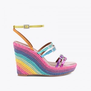 Sandali Donna Kurt Geiger London Pierra Wedge Heel Colorate Italia | DT51-363